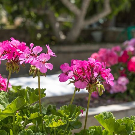 Lina And Babis' Home Αδάμας Εξωτερικό φωτογραφία