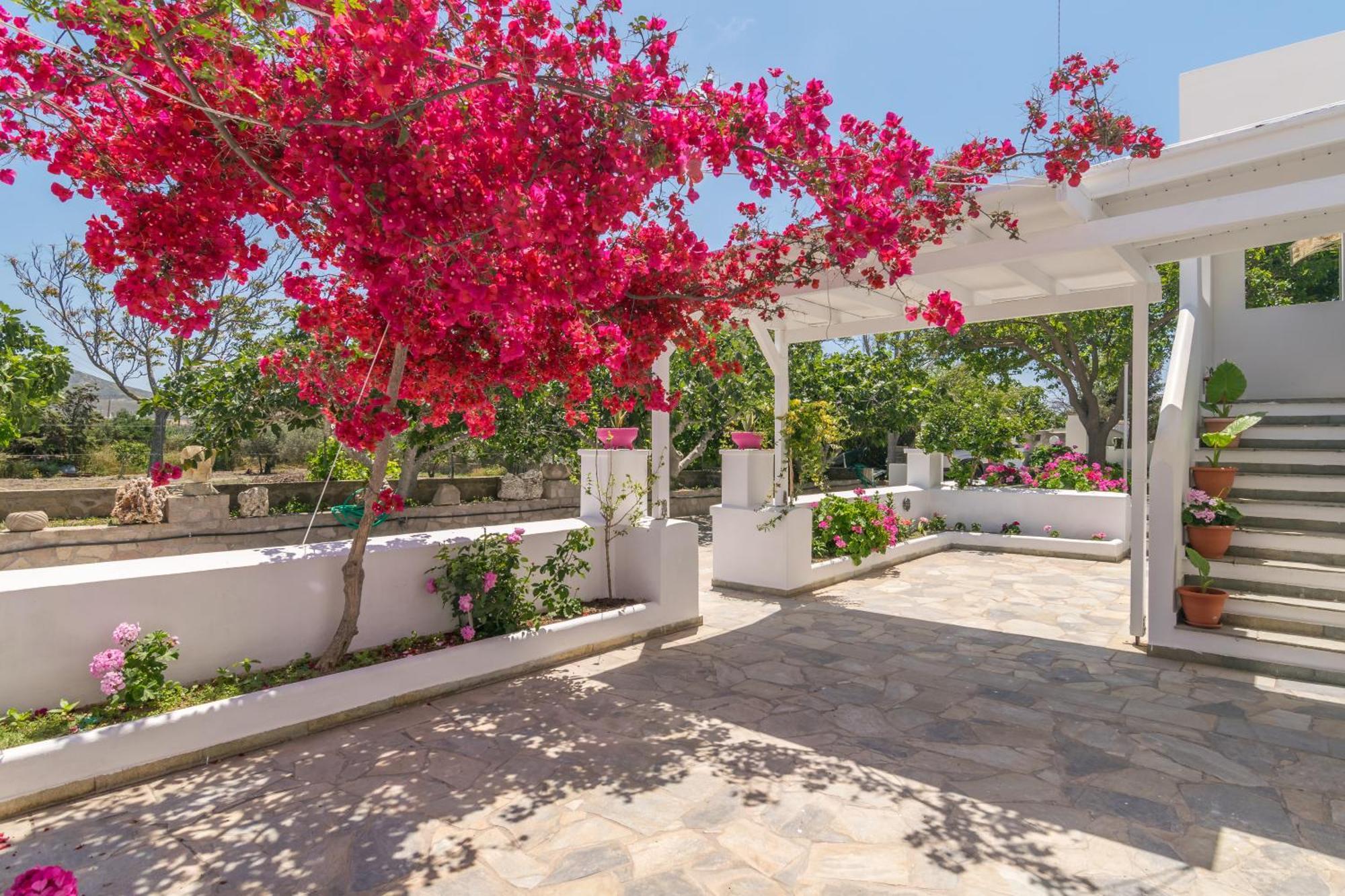 Lina And Babis' Home Αδάμας Εξωτερικό φωτογραφία