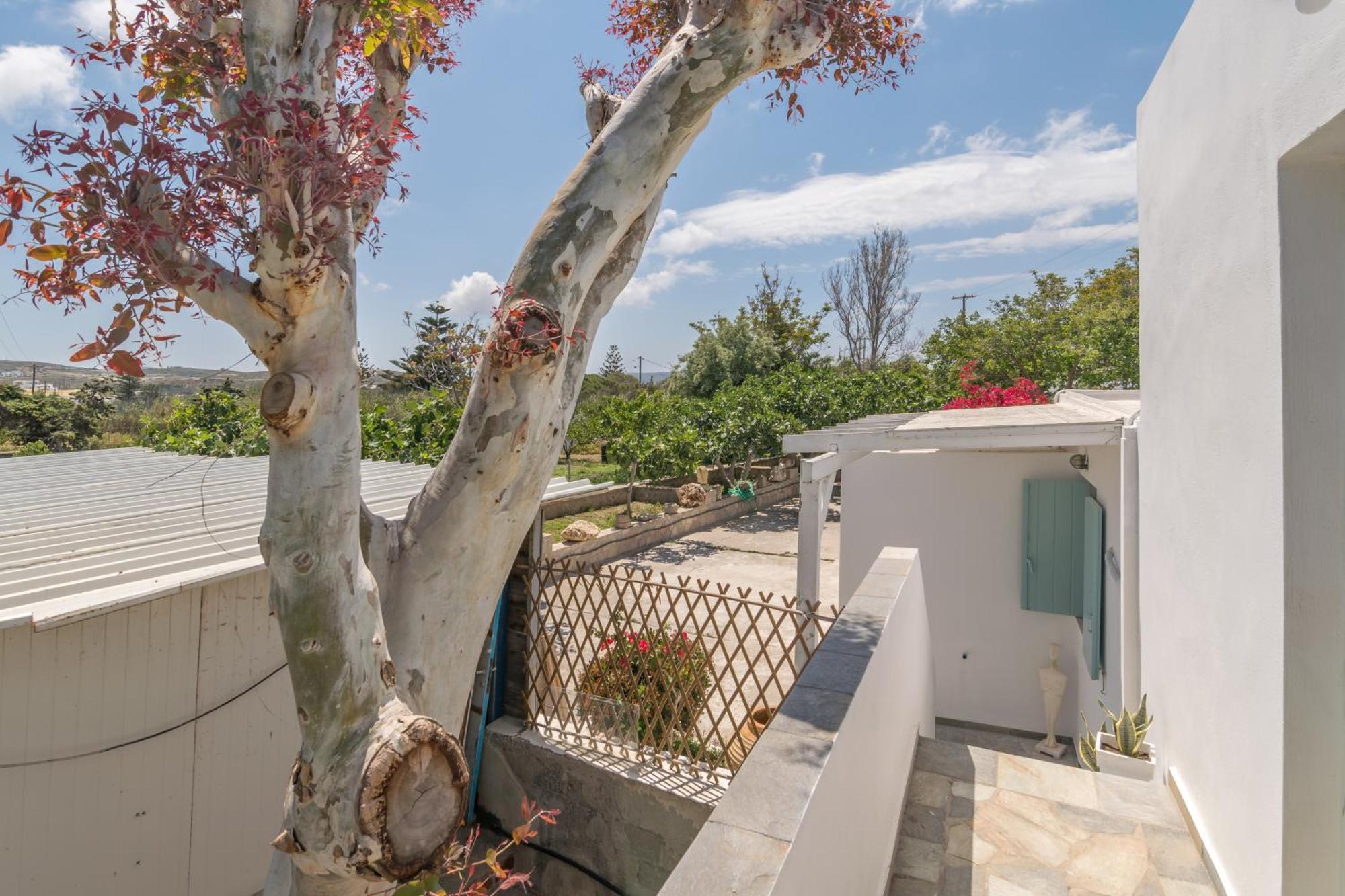 Lina And Babis' Home Αδάμας Δωμάτιο φωτογραφία